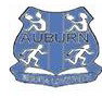Auburn Public School - Education Sydney