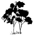Samuel Gilbert Public School  - Education Directory 0