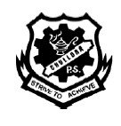 Chullora Public School Greenacre