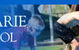 Port Macquarie Adventist School - thumb 0