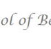 Advanced School of Beauty Therapy  - University Australia