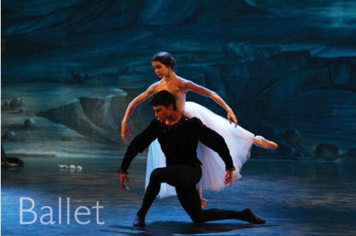 The McDonald College North Strathfield