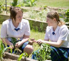 Nagle College - Education Directory 5