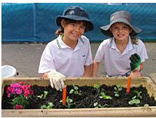 Galilee Catholic Primary School - Education NT 5