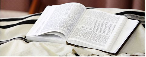 Mount Sinai College - Education Directory 2