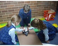 All Hallows Catholic Primary School - Education Find 1