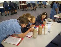 All Hallows Catholic Primary School - Education Find 3