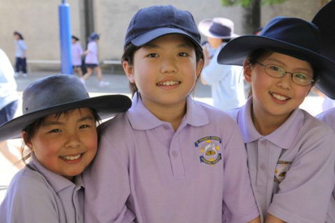 St Vincent's Primary School Ashfield - Education Directory 4