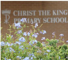 Christ The King North Rocks - Education Sydney 4