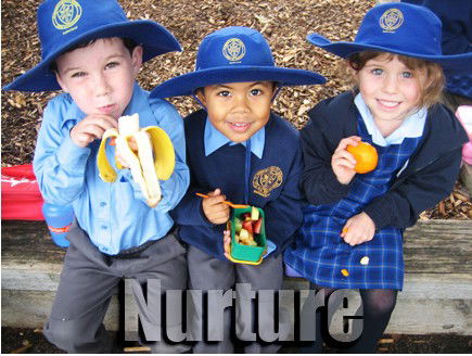 St Patrick's Primary School Sutherland - University Australia 3