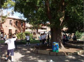 All Saints College St Peter's Campus - Education Sydney 2