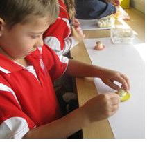 Holy Family Primary School Luddenham - Education Directory 2