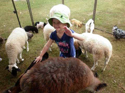 Eastside Little Learners Child Care Centre - Education Directory 1