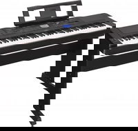 Alive Music - Education Directory
