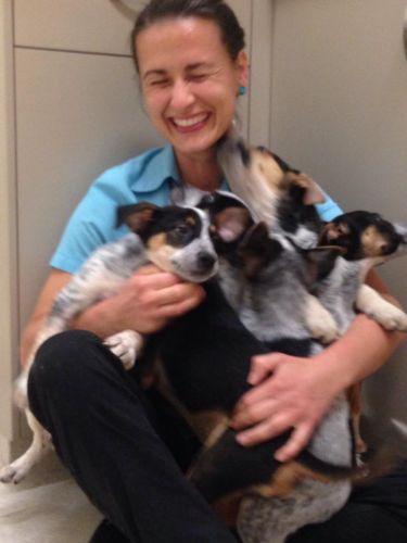 Pacific Vetcare - Education Directory 7