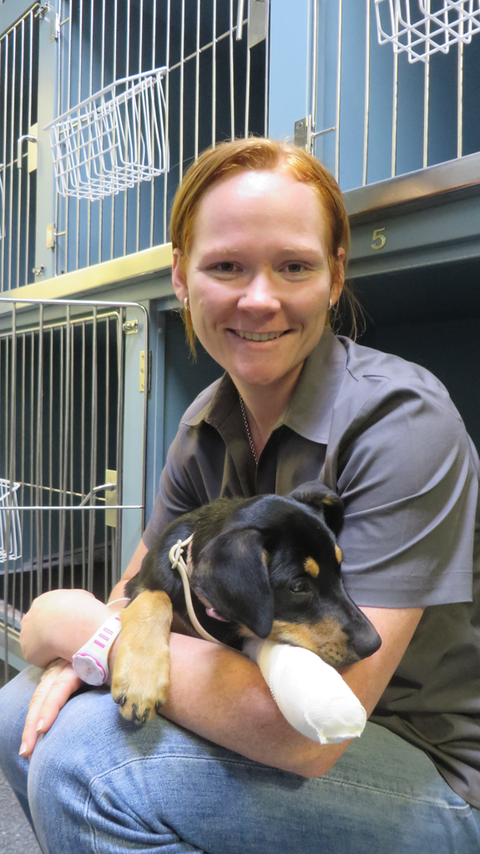 Grafton Veterinary Clinic - Education SA 0