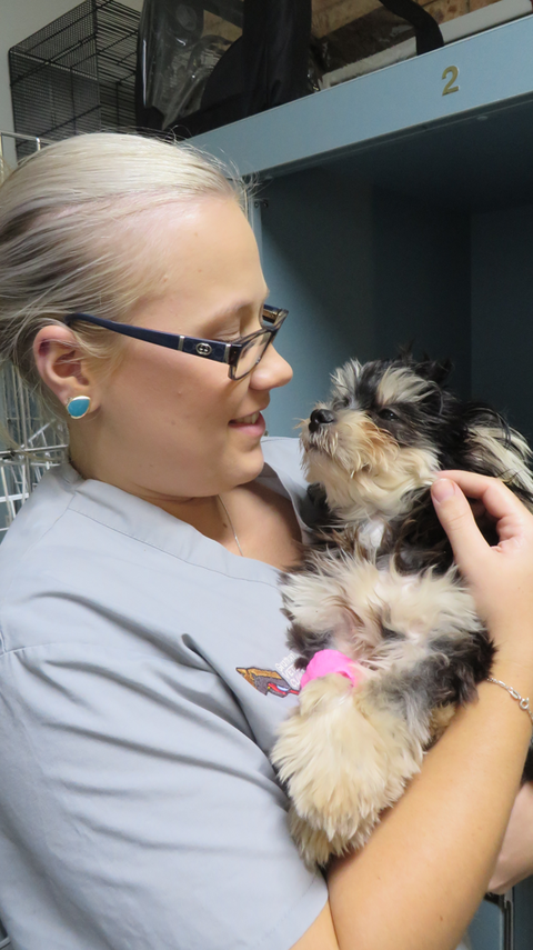 Grafton Veterinary Clinic - Education NT 1