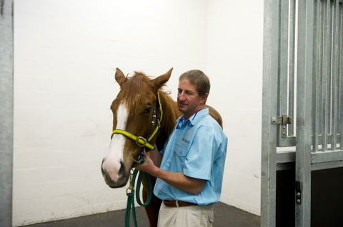 Pacific Vetcare - Education Directory 2