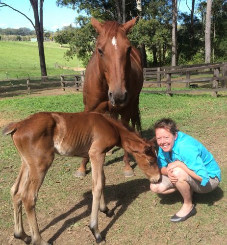 Pacific Vetcare - Education Directory 5