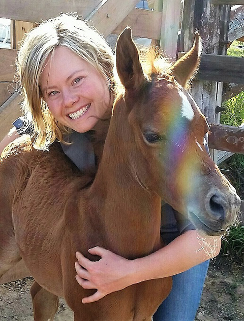 Grafton Veterinary Clinic - Education NT 2