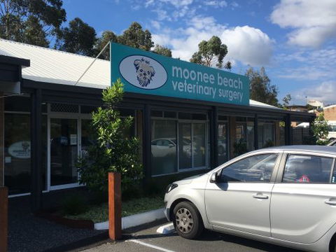 Moonee Beach Veterinary Surgery - Education Directory 0