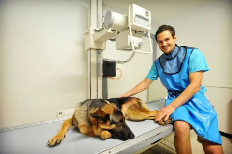 Pacific Vetcare - Education SA 0