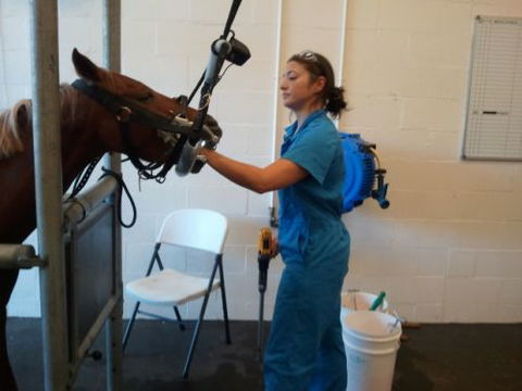 Pacific Vetcare - Education Directory 9