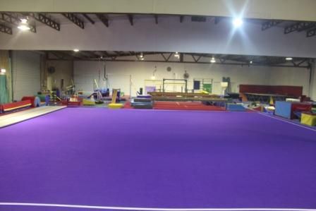 Scallywaggs Gymnastics - Education Directory 0