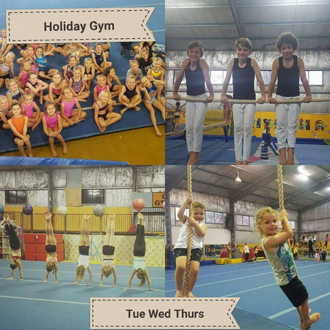 Gosford Gymnastics - Education Directory 4