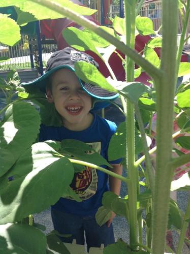 Central Gardens Childcare - Education Directory 1