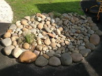 Terrigal NSW Schools and Learning Education Directory Education Directory