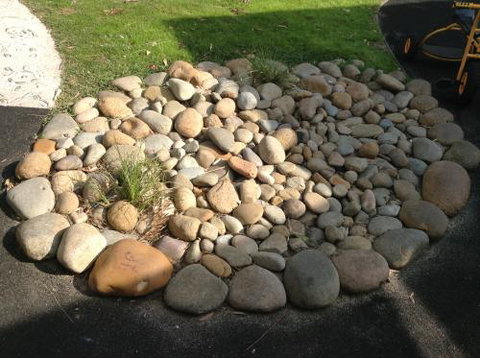 Shine Early Learning Centre - Education SA 0