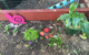 TLC Early Learning Centre - thumb 3