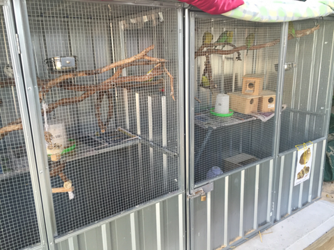 TLC Early Learning Centre - Education Sydney 0