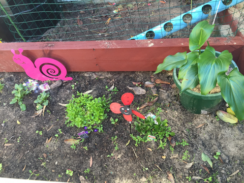 TLC Early Learning Centre - Education Sydney 3
