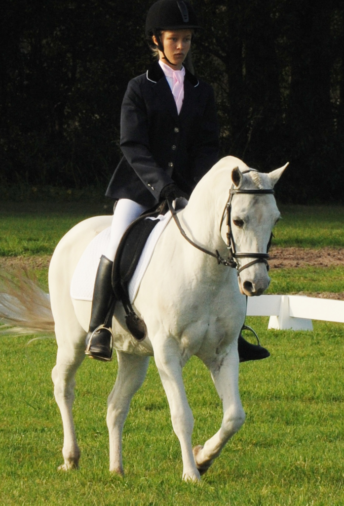 Encantador The Riding School Williamtown
