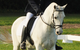 Encantador The Riding School - thumb 0