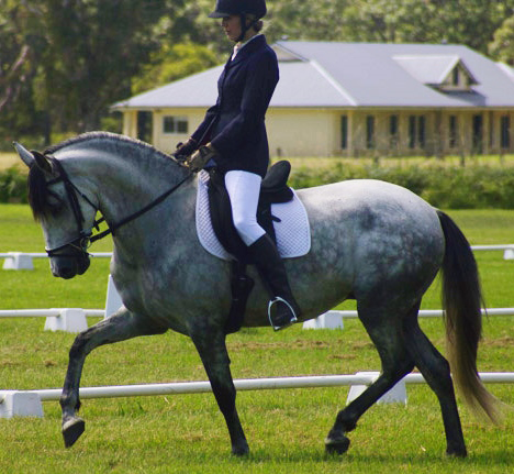 Encantador The Riding School - University Australia 1