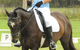 Encantador The Riding School - thumb 3