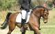 Encantador The Riding School - thumb 4