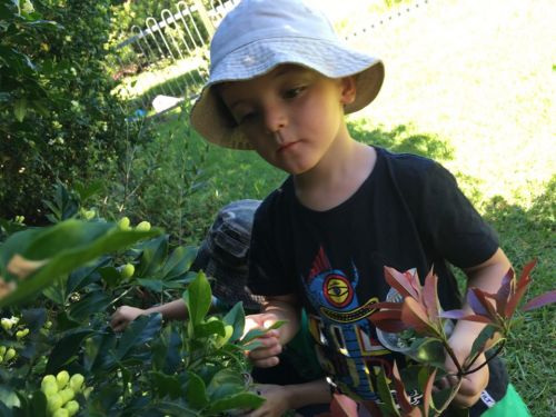 Kiama Downs NSW Education NT