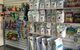 Albion Park Veterinary Hospital - thumb 2