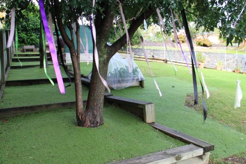 Pelican Pre-School  Shellharbour Blackbutt