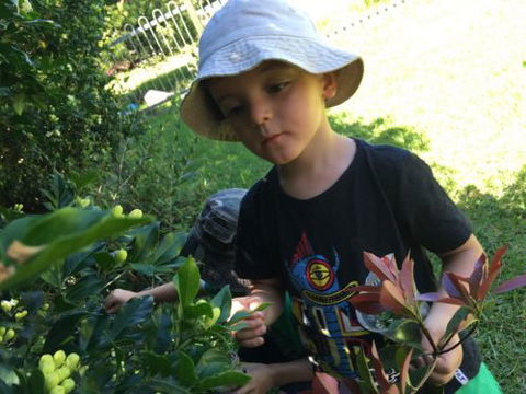 Kiama Kids Pre-School & Childcare Centre - Education Directory 0