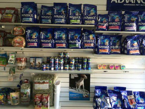 Albion Park Veterinary Hospital - Education Directory 3