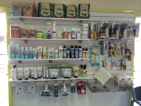 Albion Park Veterinary Hospital - Education Directory 4