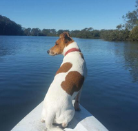 Australis Canoes  Kayaks - Education Sydney