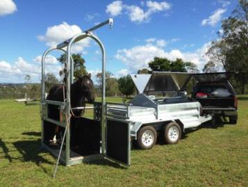 Tamworth Veterinary Hospital - Education Sydney 1