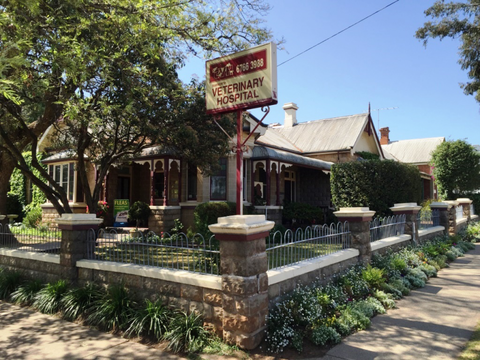 Tamworth Veterinary Hospital - Education Sydney 2