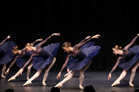 La Vive Studios - Education Sydney 0